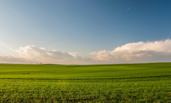 GRDC Grains Research Update, online – Subsurface drainage in high rainfall regions
