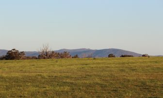 GRDC Grains Research Update, online – An introduction to harvestable annual pasture legume options