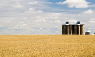 GRDC Grains Research Update, Rokewood VIC