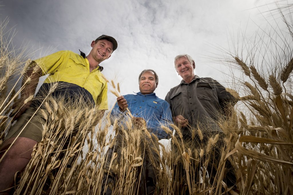 GRDC Farm Business Update, online - Joint-venture models in grain ...