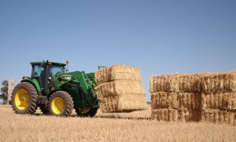 GRDC Grains Research Update, online – Legacy effects of vetch, and a hay market update