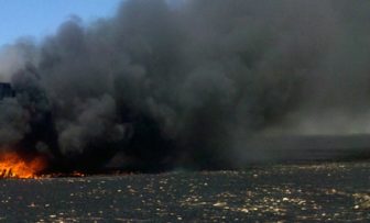 GRDC Grains Research Update, online – After the fire – management and actions to consider