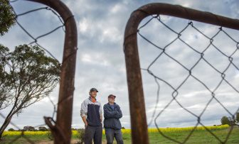 GRDC Farm Business Update, online – Plan for 2026 – strategies to protect margins