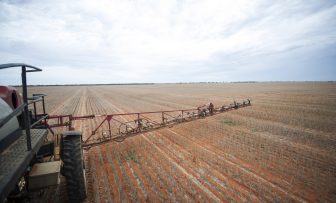 GRDC Farm Business Update, online – Precision Weed Control – Options and Costs