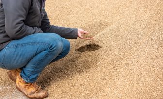 GRDC Farm Business Update, online – Making fertiliser pay in 2026