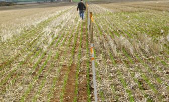 GRDC Grains Research Update, online – Water-use efficiency, guiding management decisions