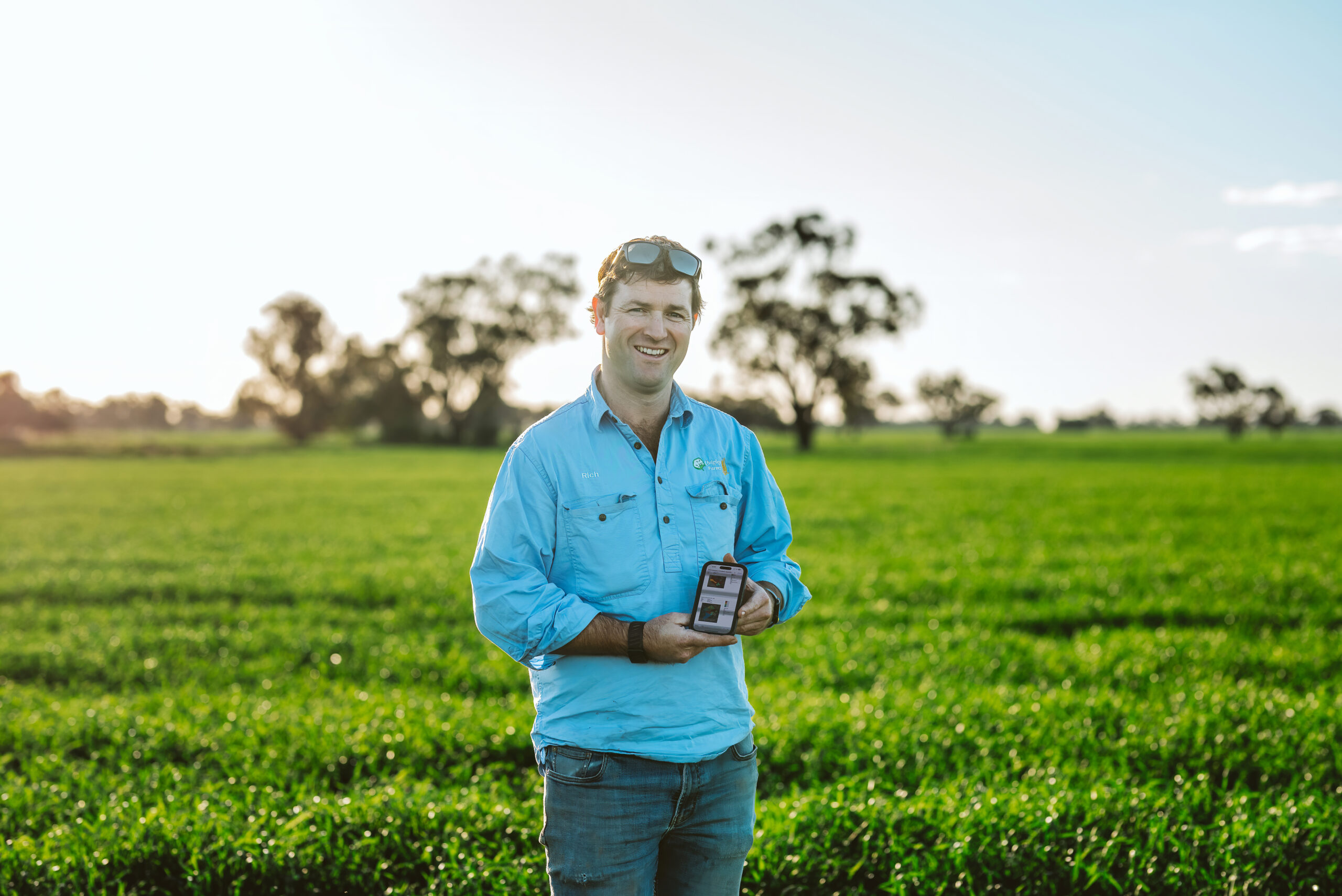 GRDC Farm Business Update, online – Can AI add value to your grain business