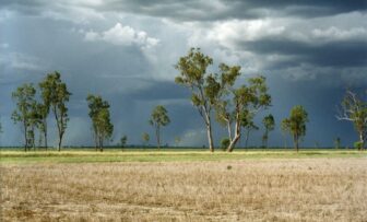 GRDC Grains Research Update, online – Looking beyond the forecast: lessons from past El Niño years